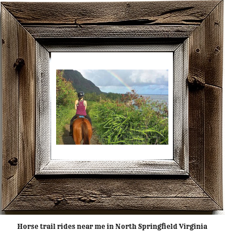 horse trail rides near me in North Springfield, Virginia